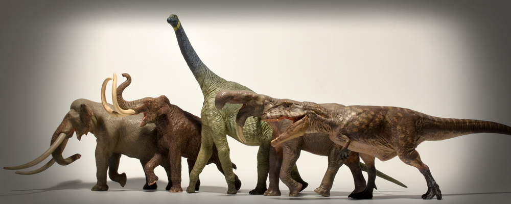 argentinosaurus vs giganotosaurus